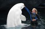 Sea World Tour